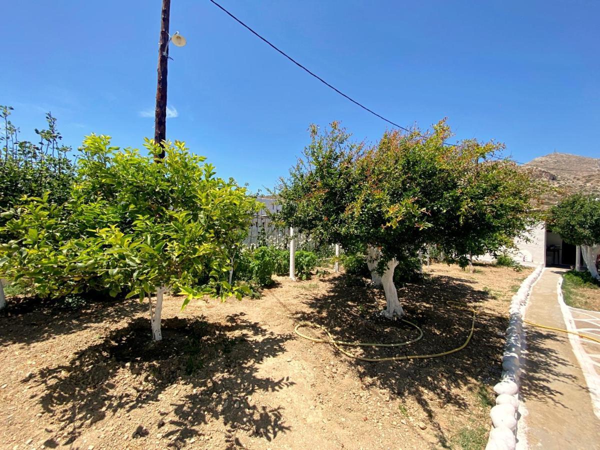 Michail Suites Afiartis Karpathos Bagian luar foto
