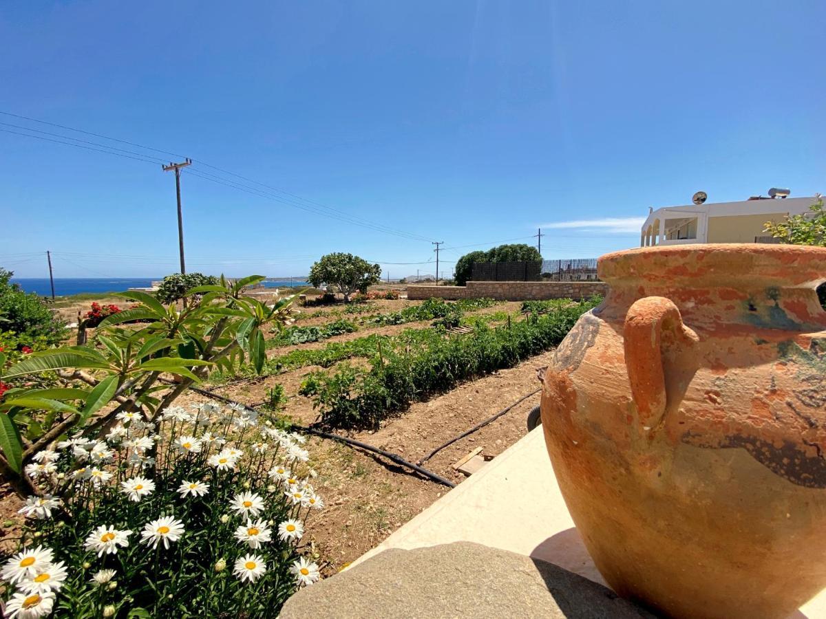 Michail Suites Afiartis Karpathos Bagian luar foto